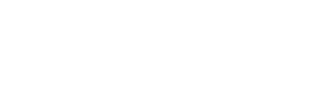 TURTLE Logo D